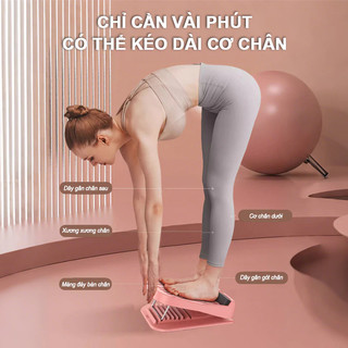 (TX)Bàn Tập Thẳng Chân Dụng cụ co giãn cơ bắp Hỗ trợ tập thon chân Dụng Cụ Tập Gym Yoga Kéo Giãn Cơ