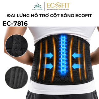 Đai Lưng Cột Sống ECOFIT, Hỗ Trợ Điều Trị Thoái Hóa Cột Sống, Thoát Vị Đĩa Đệm, Đau Thần Kinh Tọa