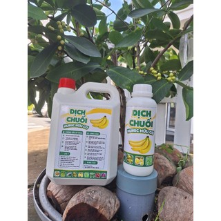 Can 5 Lít Chế Phẩm Dịch Chuối Humic Hữu Cơ
