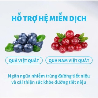 [COMBO 5 GÓI] Hạt Cho Mèo MRVET T3 1Kg - Hỗ Trợ Cải Thiện Đường Tiết Niệu Cho Mèo Bảo Tăng Cường Hệ Miễn Dịch Petkool