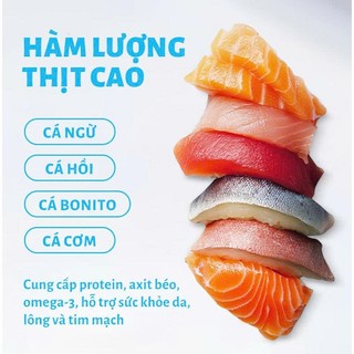 [COMBO 5 GÓI] Hạt Cho Mèo MRVET T3 1Kg - Hỗ Trợ Cải Thiện Đường Tiết Niệu Cho Mèo Bảo Tăng Cường Hệ Miễn Dịch Petkool