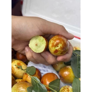 Táo tàu giòn ngọt