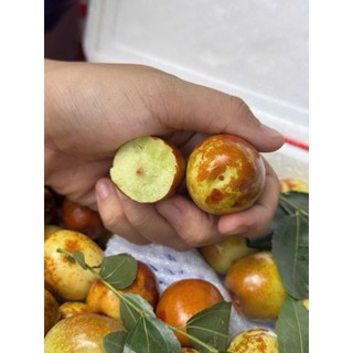 [ JENNY FRUIT ] [ HỎA TỐC ] Táo tàu giòn ngọt
