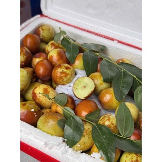 [ JENNY FRUIT ] [ HỎA TỐC ] Táo tàu giòn ngọt