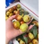 Táo tàu giòn ngọt