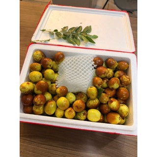 [ JENNY FRUIT ] [ HỎA TỐC ] Táo tàu giòn ngọt