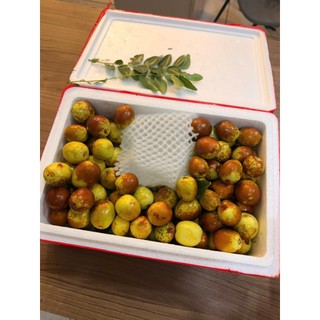 [ JENNY FRUIT ] [ HỎA TỐC ] Táo tàu giòn ngọt