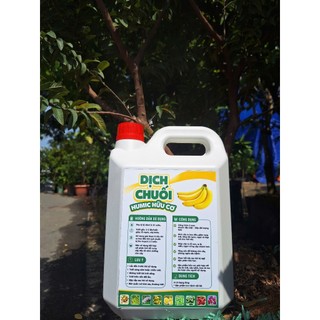 Can 5 Lít Chế Phẩm Dịch Chuối Humic Hữu Cơ