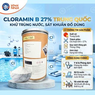 Cloramin B 27% Trung Quốc, Bột Chloramin B khử trùng nước, sát khuẩn đồ dùng (Thùng 25Kg)