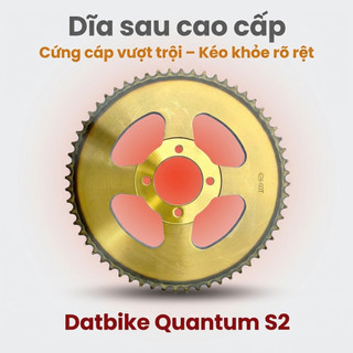 Nhông Sên Dĩa Giá Rẻ: Sên Vàng - Dĩa Vàng 428 10 Ly (13T – 60T) Dành Cho Dat Bike Quantum S2
