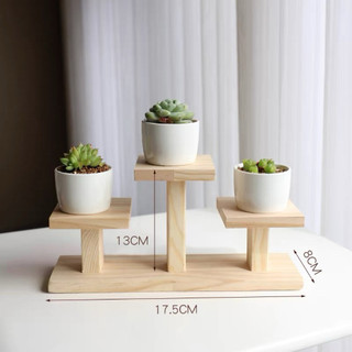 Kệ Để Bàn Hoa Giá Đỡ Đứng kệ để cây cảnh mini đồ lưu niệm trên bàn sang trọng gỗ tự nhiên nhiều kích thước