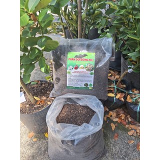 Can 5 Lít Chế Phẩm Dịch Chuối Humic Hữu Cơ