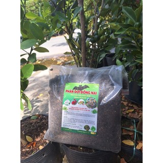 1 Lít Chế Phẩm Dịch Chuối Humic Hữu Cơ
