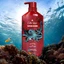 Dầu Gội Xả 2 in1 Old Spice Krakengard Hương Tươi Mát 650ML
