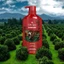 Dầu gội xả Old Spice hương nước hoa cuốn hút 650ml - Nhập khẩu Mỹ