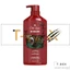 Dầu gội xả Old Spice hương nước hoa cuốn hút 650ml - Nhập khẩu Mỹ