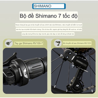 (Chinh hãng) Xe đạp gấp Phoenix G5 Shimano 20 inch với phanh đĩa kép, nhỏ gọn, dễ mang theo, siêu nhẹ,phù hợp cả nam&nữ