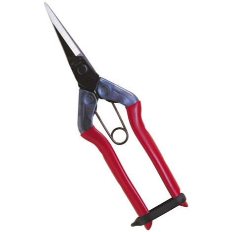 Kéo tỉa cành Chikamasa T-551