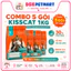 THỨC ĂN HẠT CHO MÈO KISSCAT 1KG – PHÙ HỢP MÈO MỌI LỨA TUỔI HỖ TRỢ TIÊU BÚI LÔNG TIÊU HÓA