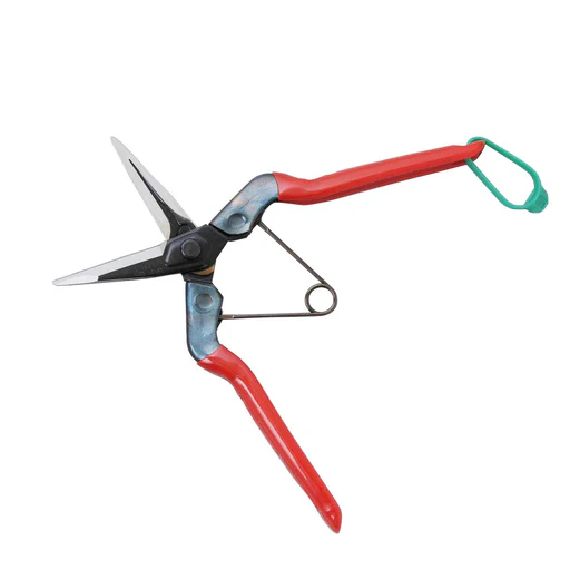 Kéo tỉa cành Chikamasa T-500