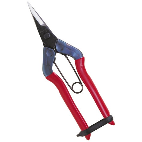 Kéo tỉa cành Chikamasa T-500
