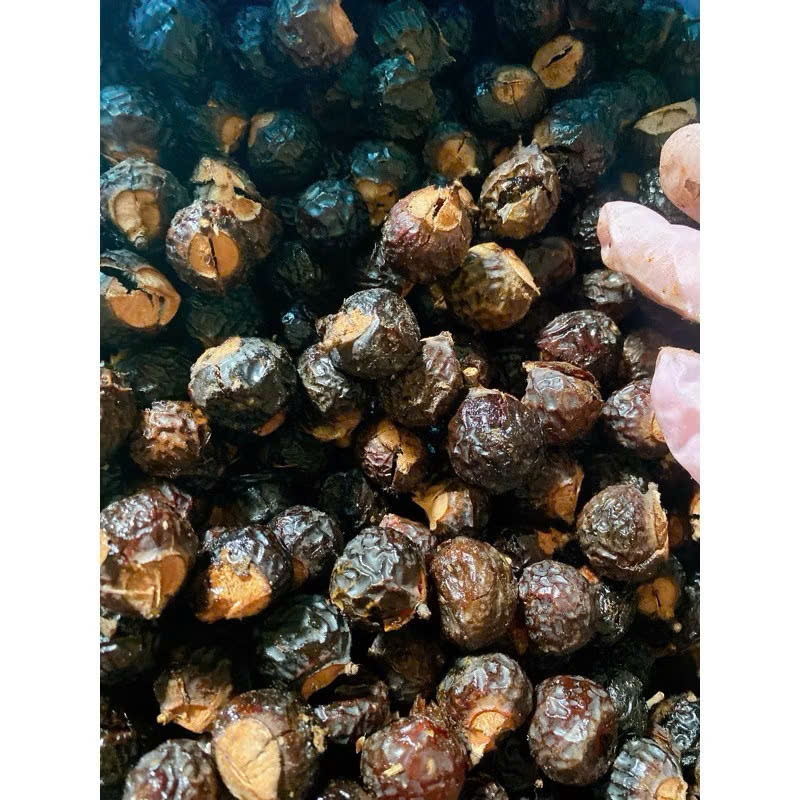 Combo Bồ Hòn và Bời Lời Làm Nước Rửa Bát,Không Hại Da Tay