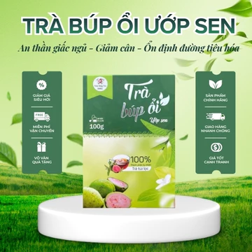 Trà Búp Ổi Thơm Ngọt Trúc Hồng Trà 1982, Trà Túi Lọc Búp Ổi Ướp Cùng Lá Sen Non Thuần Tự Nhiên