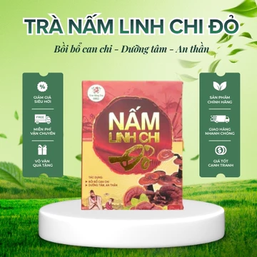 Trà Nấm Linh Chi Đỏ Tự Nhiên Set 3 Hộp Quà Tặng, Trà Túi Lọc Nấm Linh Chi Đỏ Trúc Hồng Trà 1982