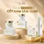 SERUM HA NHÂN SÂM MQSKIN – TINH CHẤT CẤP ẨM, PHỤC HỒI VÀ DƯỠNG SÁNG DA