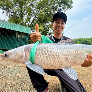 [BĐSH] Thẻo Câu Cá Trắm Cỏ Không Nút Thắt (1 Gói 3 Cặp Thẻo) - Độ Dù Chống Nổ Công Nghệ Mới