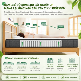 Nệm Foam Hybrid 22cm KADE Mattress Đệm Gồm Lò Xo Túi Độc Lập Cùng 2 Tầng Cao Su Non êm ái