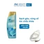 Dầu Gội H&S Chuyên Sâu DermaXpro Phục Hồi Dưỡng Ẩm 300ml - Châu Âu