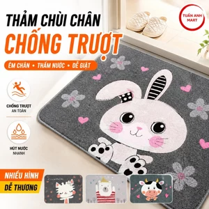 Combo 2 cái Thảm chùi chân chống trượt nhiều hình 60x30cm