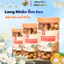 Long nhãn ốm sen thơn ngon giòn ngọt ăn tốt cho sức khoẻ sản phẩm sạch nhà làm