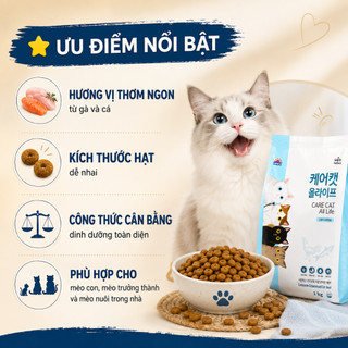 THỨC ĂN HẠT CHO MÈO CARE CAT NHẬP KHẨU HÀN QUỐC