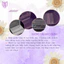 Hộp Nhựa Rỗng Đựng Đầu Mài Móng Nail Mary Artistry 14 Ngăn Tiện Lợi [Không Kèm Đầu Mài]