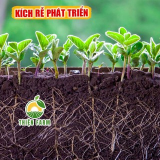 Phân bón lá Atonik THIỆN FARM, thúc đẩy sinh trưởng, ra rễ, ra chồi, ra hoa lá