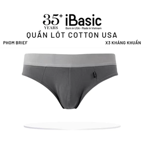 Quần lót nam iBasic brief tam giác thun cotton USA kháng khuẩn thấm hút thoải mái PANM045