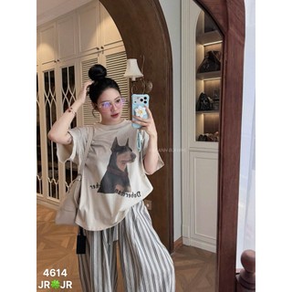 Áo Thun Nữ KAB Họa Tiết Form Rộng QCCC Cao Cấp