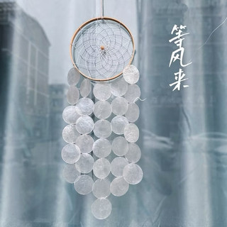 Vỏ xà cừ 7 màu size to, dùng trang trí sự kiện handmade