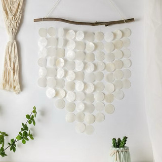 Vỏ xà cừ 7 màu size to, dùng trang trí sự kiện handmade