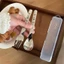 Bộ 3 món thìa, dĩa, đũa inox hoạ tiết cute có hộp đựng vệ sinh tiện lợi