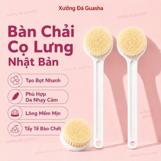 Bàn Chải Tắm Cán Dài 2 Mặt Cao Cấp Giúp Tẩy Tế Bào Chết Nhẹ Nhàng Lông Mềm Mịn - Bàn Chải Cán Dài Lông Mềm Cao Cấp