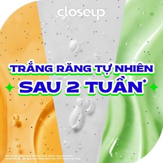 [LIVE] Combo 4 Kem Đánh Răng Closeup Trắng Răng Thơm Mát thành phần Thiên Nhiên 230G