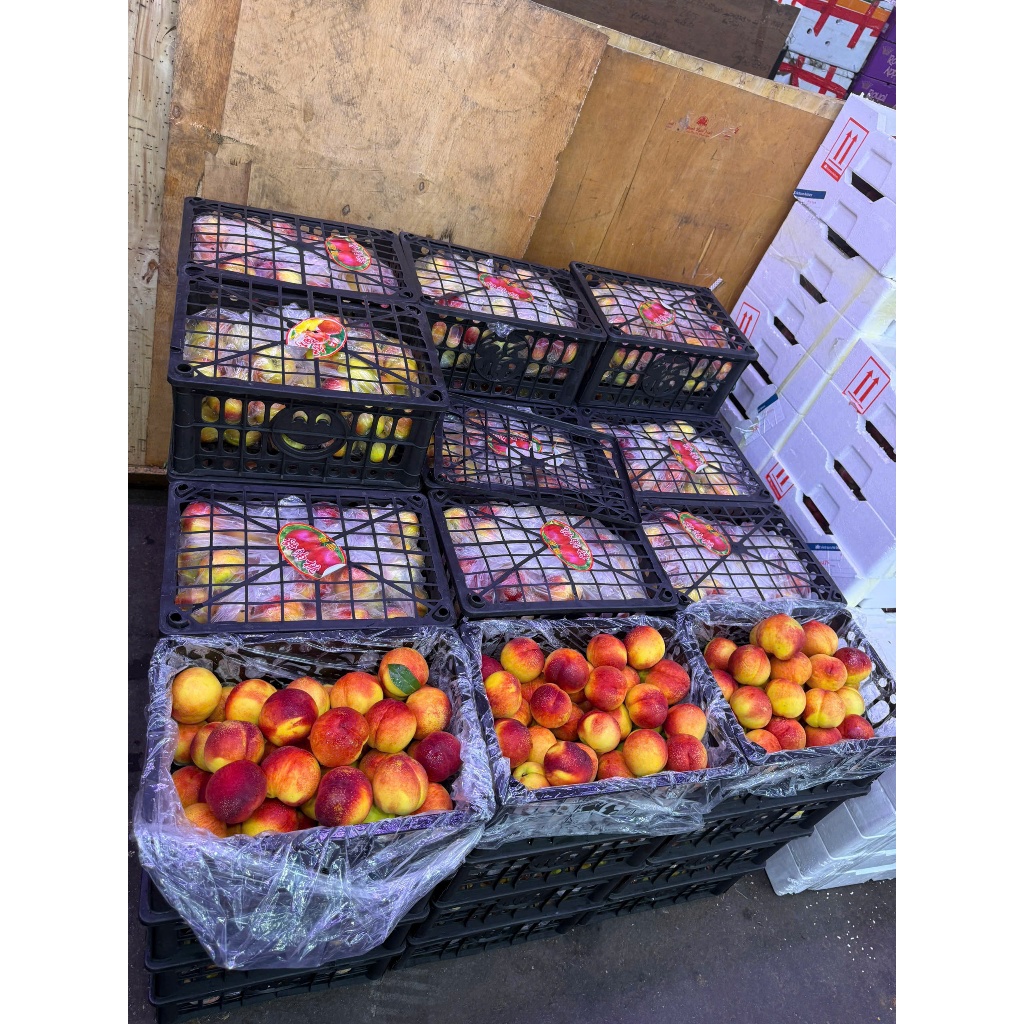 🍑 ĐÀO RỔ RUỘT VÀNG RỔ 6KG CẢ BÌ 🍑