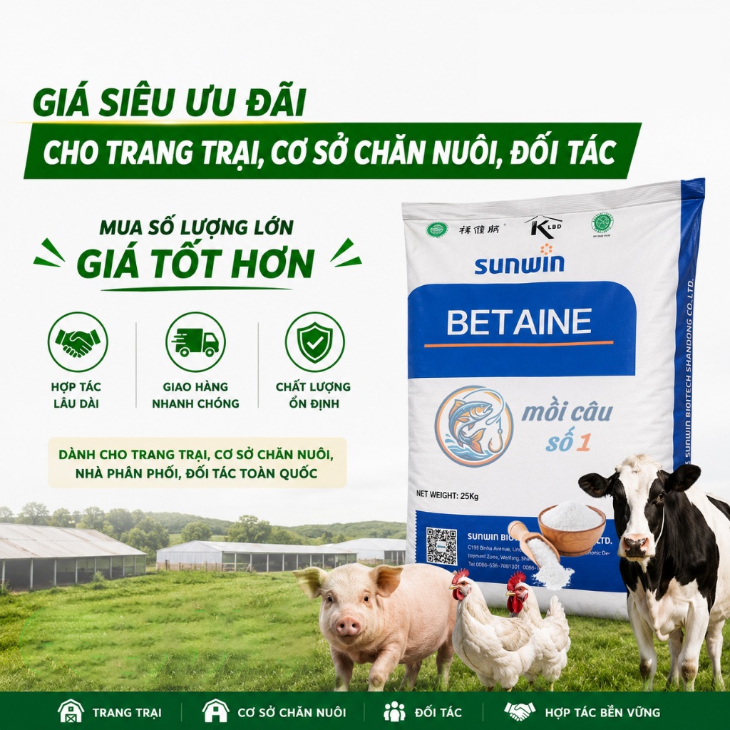 Betaine HCl 98% - Kích ăn mạnh, cải thiện khả năng hấp thụ dinh dưỡng, Tăng sức đề kháng trong chăn nuôi, thủy sản