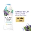Sữa Tắm Olay Tươi Mát Dài Lâu Lavender & Nước Bạch Dương 650ml