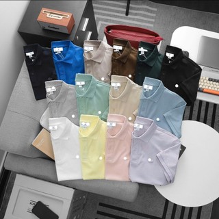Áo polo nam cotton pique form suông nhẹ logo basic , áo thun nam có cổ basic bigsize 95kg