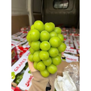( JENNY FRUIT ) THÙNG NHO SỮA 2 CHÙM 1.3KG NÉT