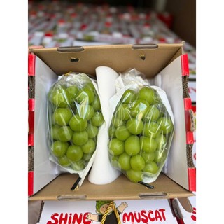 ( JENNY FRUIT ) THÙNG NHO SỮA 2 CHÙM 1.3KG NÉT